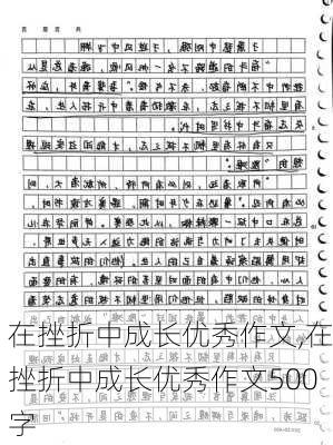 在挫折中成长优秀作文,在挫折中成长优秀作文500字