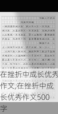 在挫折中成长优秀作文,在挫折中成长优秀作文500字