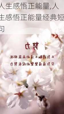 人生感悟正能量,人生感悟正能量经典短句