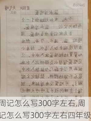 周记怎么写300字左右,周记怎么写300字左右四年级