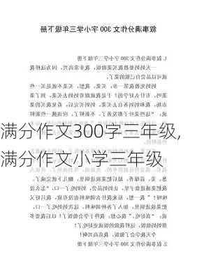 满分作文300字三年级,满分作文小学三年级