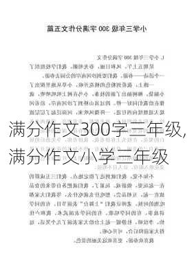 满分作文300字三年级,满分作文小学三年级