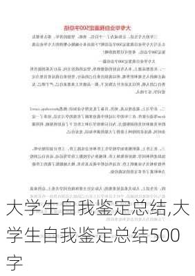 大学生自我鉴定总结,大学生自我鉴定总结500字