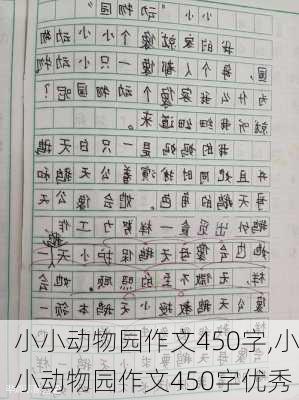 小小动物园作文450字,小小动物园作文450字优秀