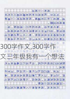 300字作文,300字作文三年级我有一个想法