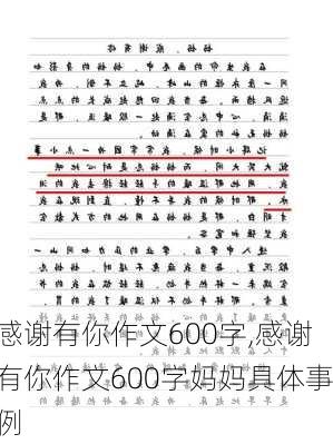 感谢有你作文600字,感谢有你作文600字妈妈具体事例