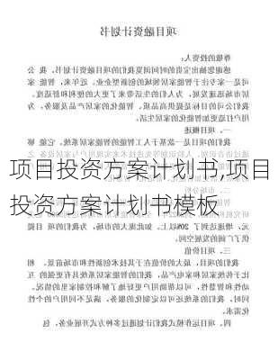 项目投资方案计划书,项目投资方案计划书模板