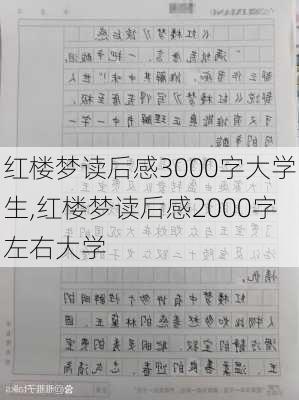 红楼梦读后感3000字大学生,红楼梦读后感2000字左右大学