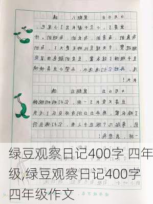 绿豆观察日记400字 四年级,绿豆观察日记400字 四年级作文