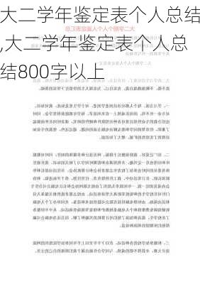 大二学年鉴定表个人总结,大二学年鉴定表个人总结800字以上