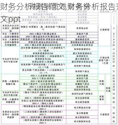 财务分析报告范文,财务分析报告范文ppt