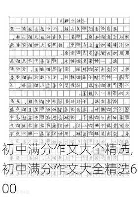 初中满分作文大全精选,初中满分作文大全精选600