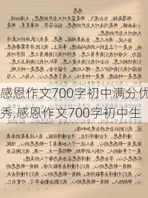 感恩作文700字初中满分优秀,感恩作文700字初中生