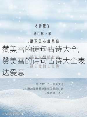 赞美雪的诗句古诗大全,赞美雪的诗句古诗大全表达爱意