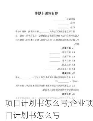 项目计划书怎么写,企业项目计划书怎么写