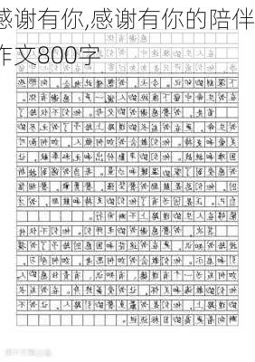 感谢有你,感谢有你的陪伴作文800字