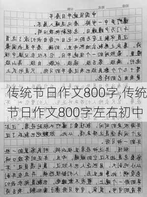 传统节日作文800字,传统节日作文800字左右初中