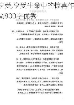 享受,享受生命中的惊喜作文800字优秀