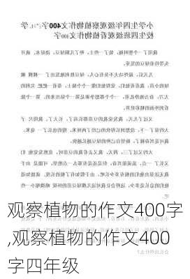 观察植物的作文400字,观察植物的作文400字四年级