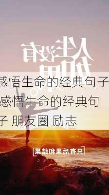 感悟生命的经典句子,感悟生命的经典句子 朋友圈 励志