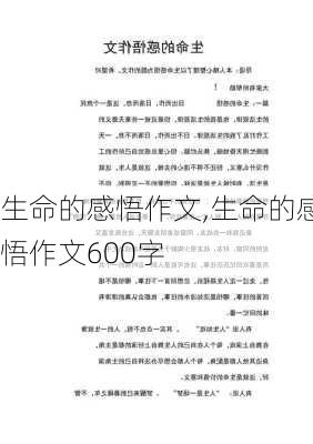 生命的感悟作文,生命的感悟作文600字