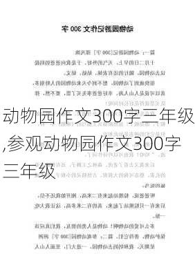 动物园作文300字三年级,参观动物园作文300字三年级