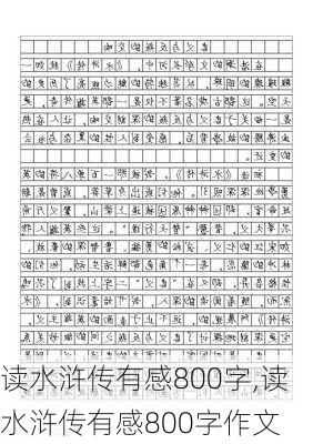 读水浒传有感800字,读水浒传有感800字作文